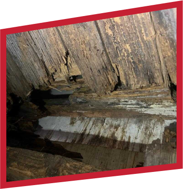 Pier & Beam Foundation Repair